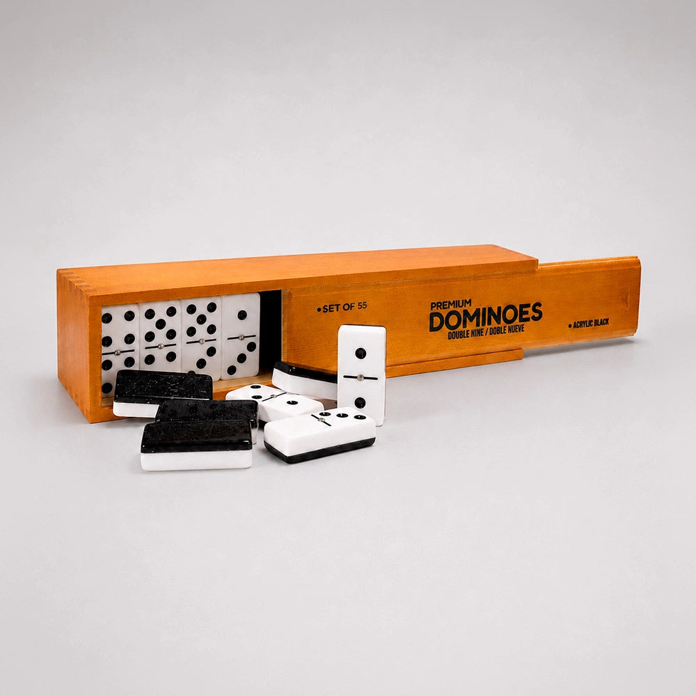 Professional Double Nine Domino Game Set