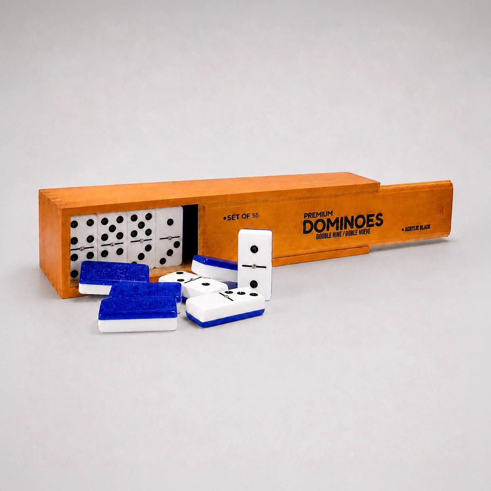 Professional Double Nine Domino Game Set