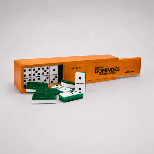 Professional Double Nine Domino Game Set