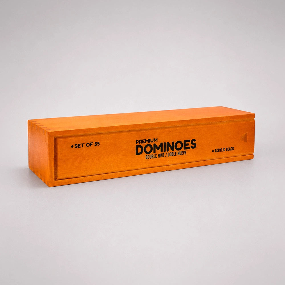 Professional Double Nine Domino Game Set