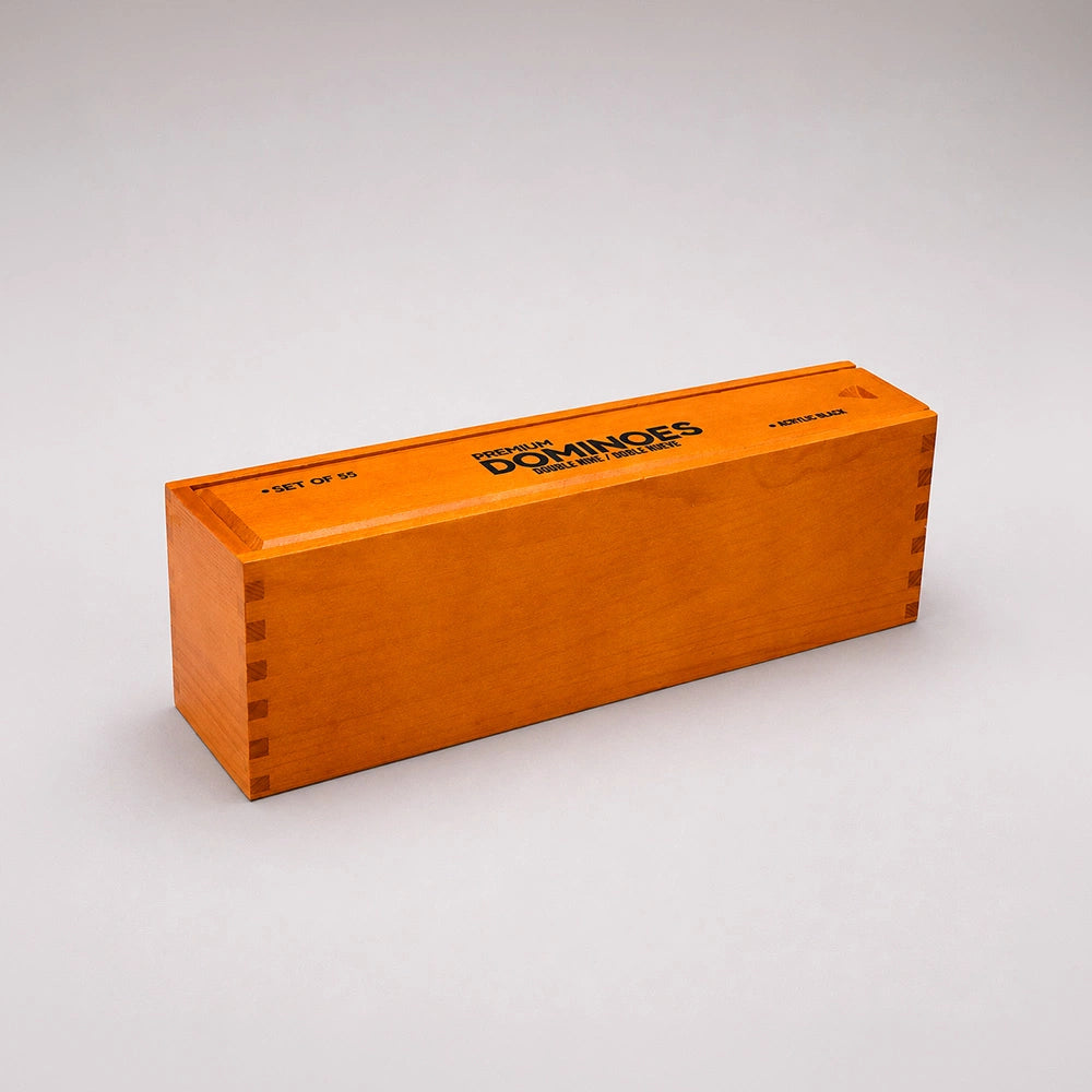 Professional Double Nine Domino Game Set