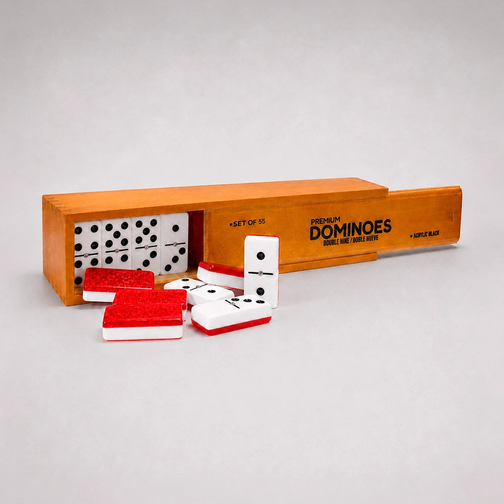 Professional Double Nine Domino Game Set