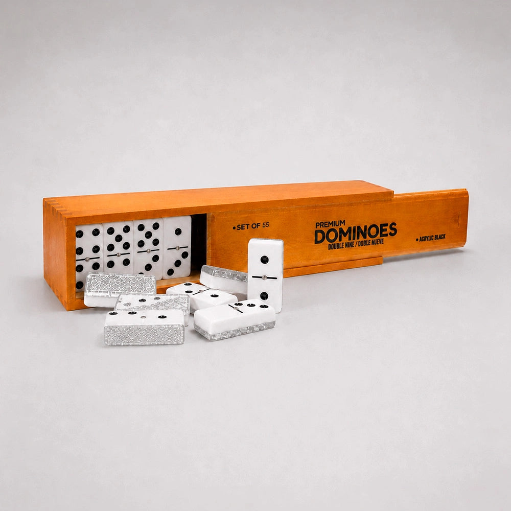 Professional Double Nine Domino Game Set