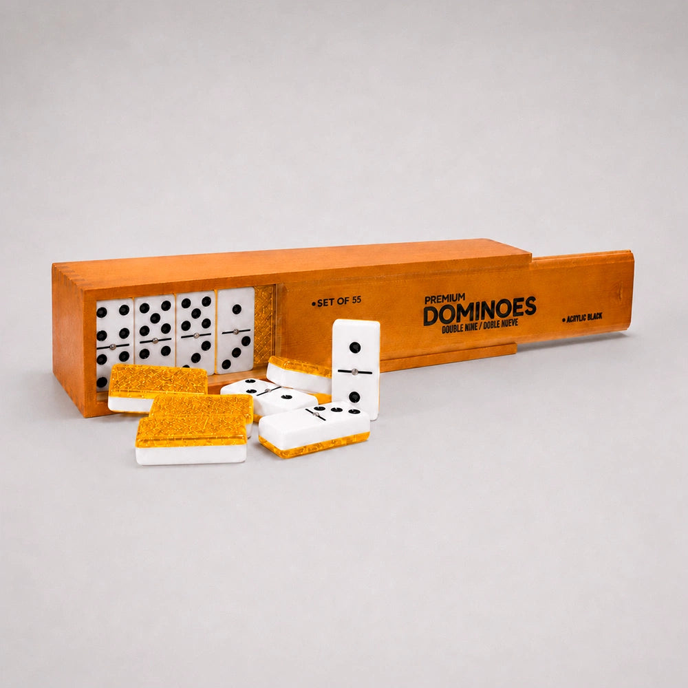 Professional Double Nine Domino Game Set