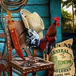 Rooster